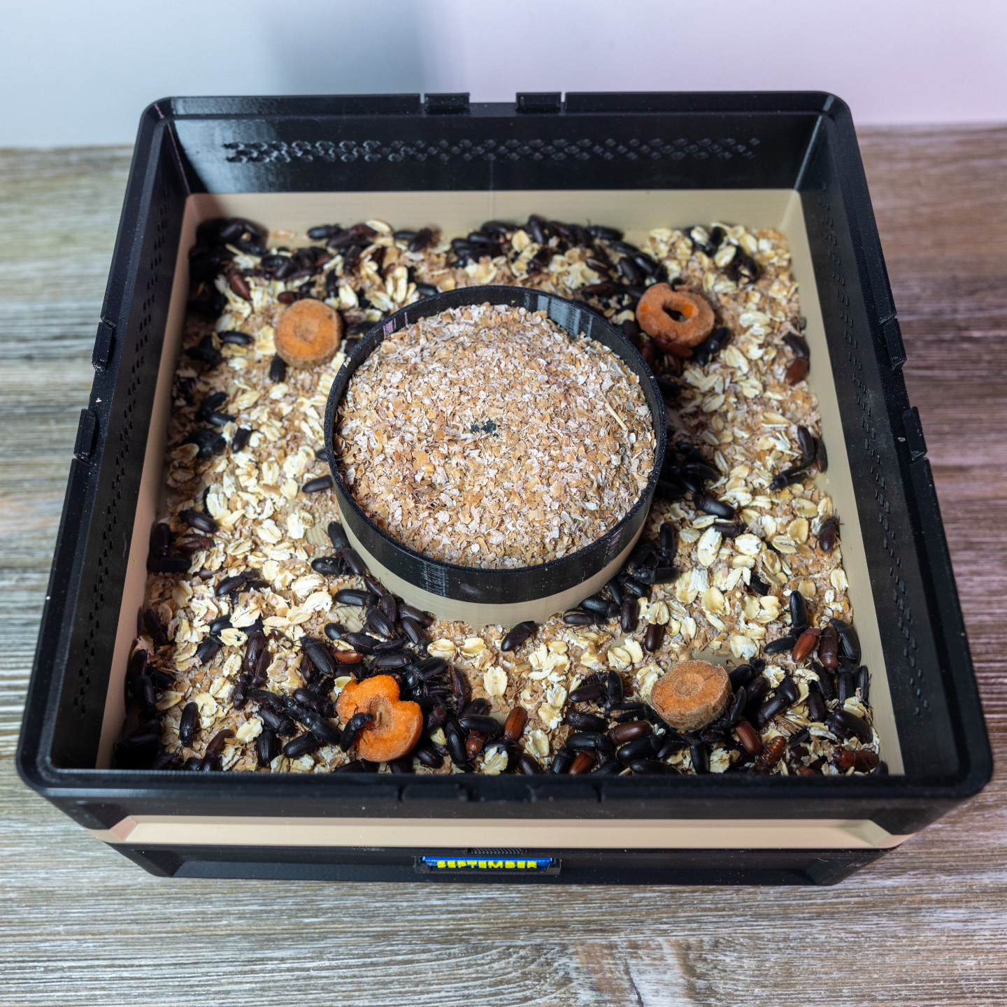 Mealworm Breeding Beetle Tray